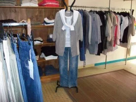 Cactus à Coulommiers