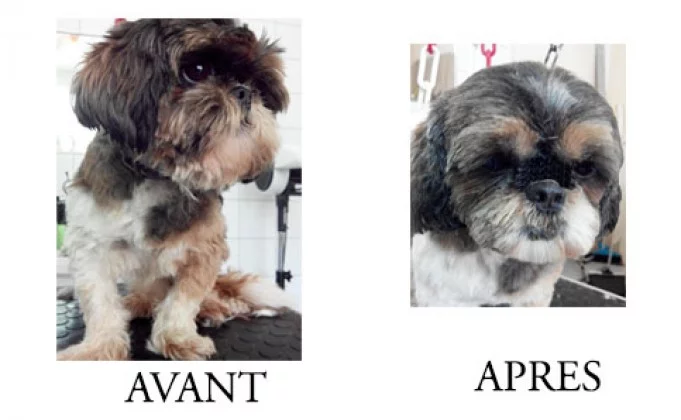 Le jardin canin à Noisy-le-Grand