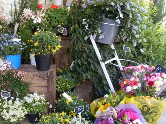 Eve Fleurs à Le Perreux-sur-Marne