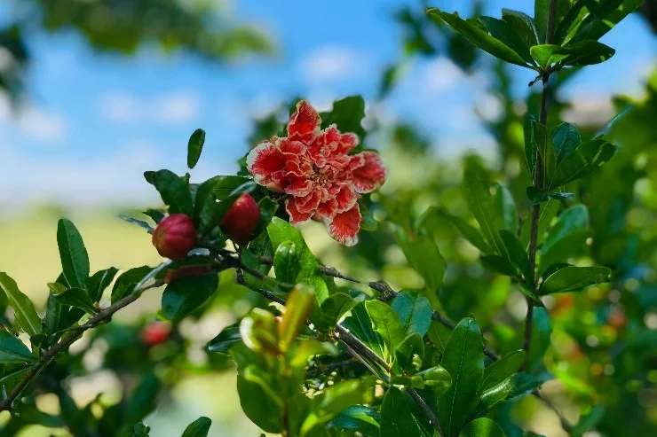 Site de démo 04 à Strasbourg