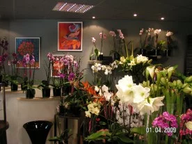 Le Kiosque fleuriste à Saint-Maur-des-Fossés