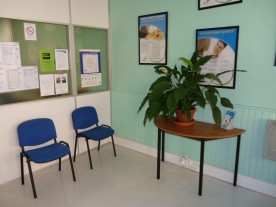 ADHAP Services