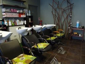 Beautyfolies à Montreuil