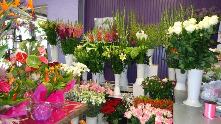 L'Ile aux Fleurs à Noisy-le-Grand