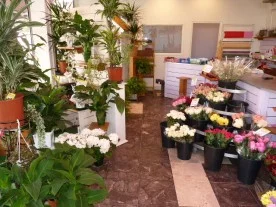 Flor Story à Champigny-sur-Marne