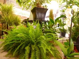 Art Fleur et Nature à Ivry-sur-Seine