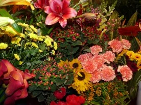 Au nid fleuri à Yerres