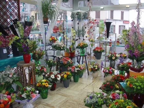 Bonnault Noël Fleurs à Combs-la-Ville