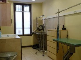 Laetitia Renoud Grappin à Charenton-le-Pont