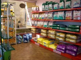 Culture Chiens Chats à Tremblay-en-France