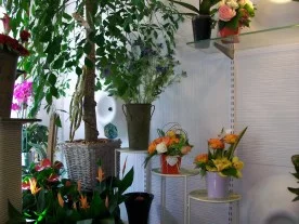 Floréal à Coulommiers