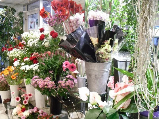 Il était une fleur à Le Perreux-sur-Marne
