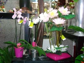 Pot de Fleur à Meaux