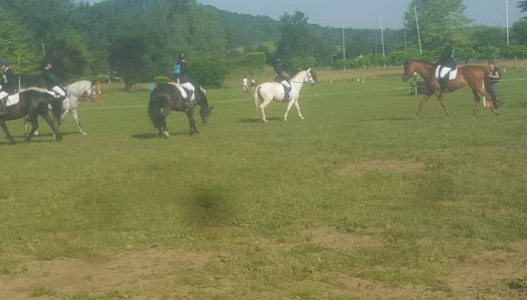 Horses de Noirmont 