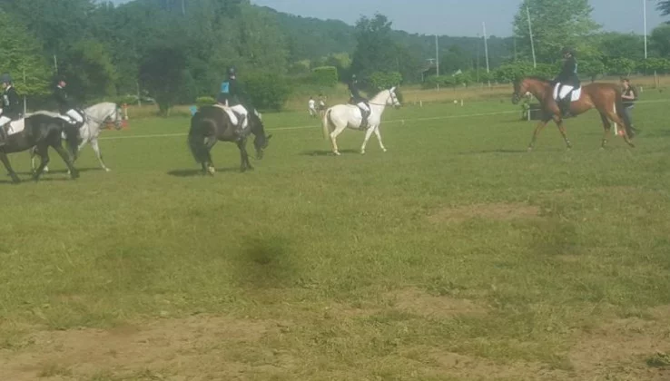 Horses de Noirmont à La Magdelaine-sur-Tarn