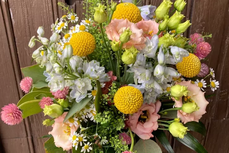 Vanille Camomille à Auterive