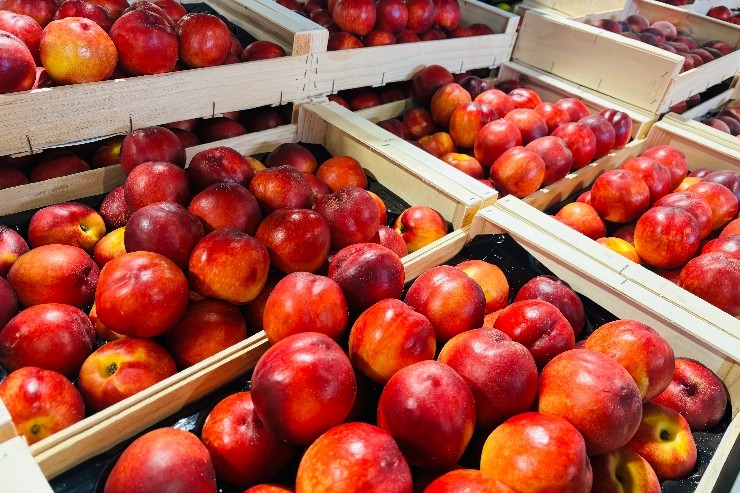 O Paradis Gourmand