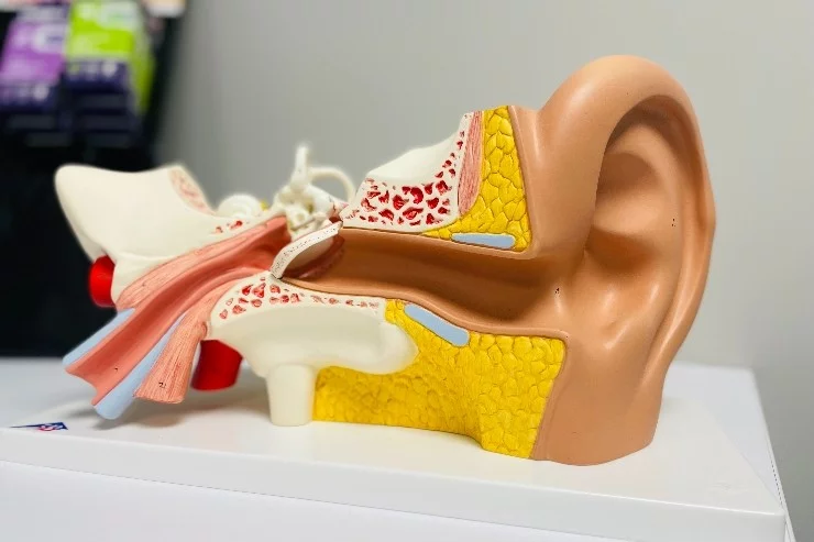 Auditio + à Auterive