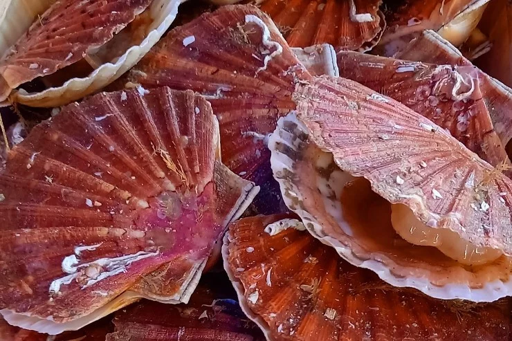 La Débarque d'Haute Rive à Grazac