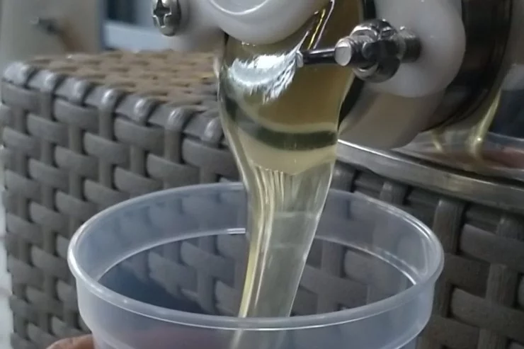 Les Ruchers de Miremont à Miremont