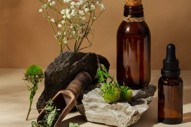 Philippe Bordieu Naturopathe à Auterive