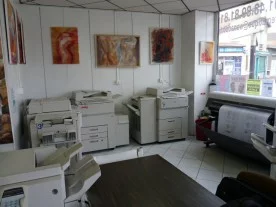 Trematique à Saint-Maur-des-Fossés