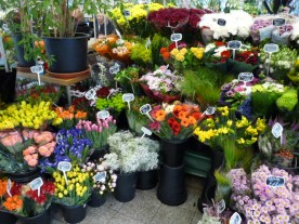 Espace floral