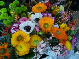 Maurepas Fleurs