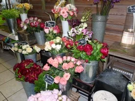 L'Ile aux Fleurs à Champigny-sur-Marne