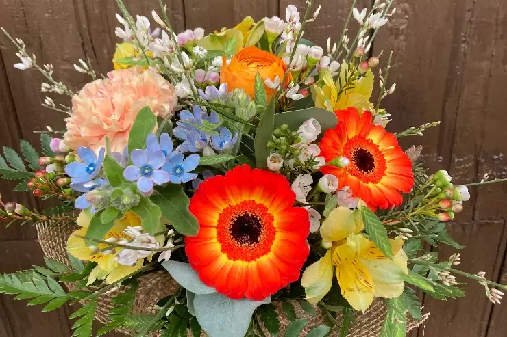 Vanille Camomille à Auterive