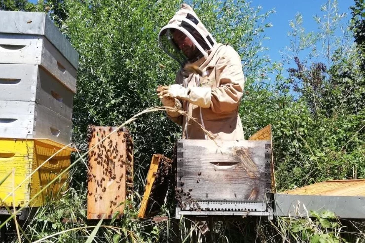 Les Ruchers de Miremont à Miremont