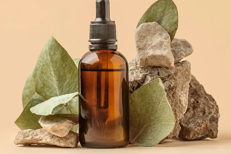 Philippe Bordieu Naturopathe à Auterive