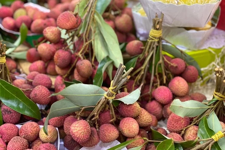 Verger du Château à Vincennes