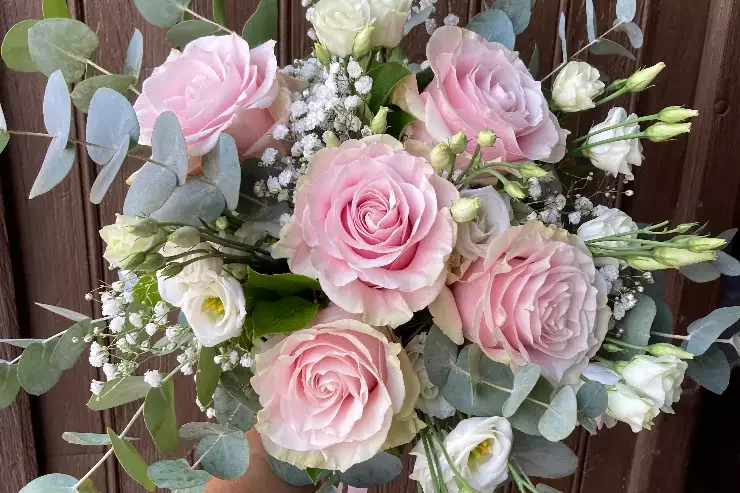 Vanille Camomille à Auterive