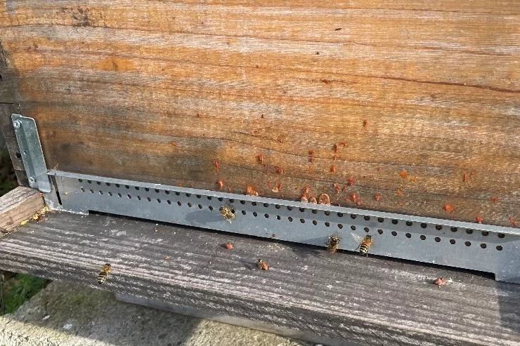 Les Ruchers de Miremont à Miremont