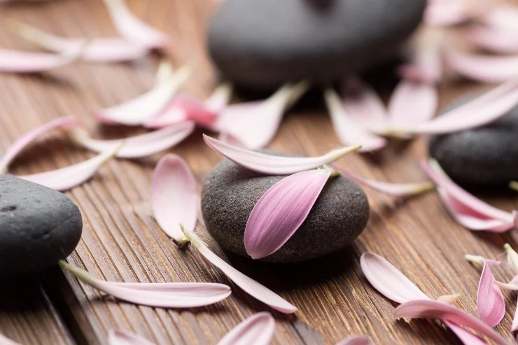 Philippe Bordieu Naturopathe à Auterive