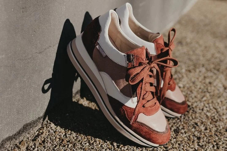 Mephisto à La Varenne Saint Hilaire