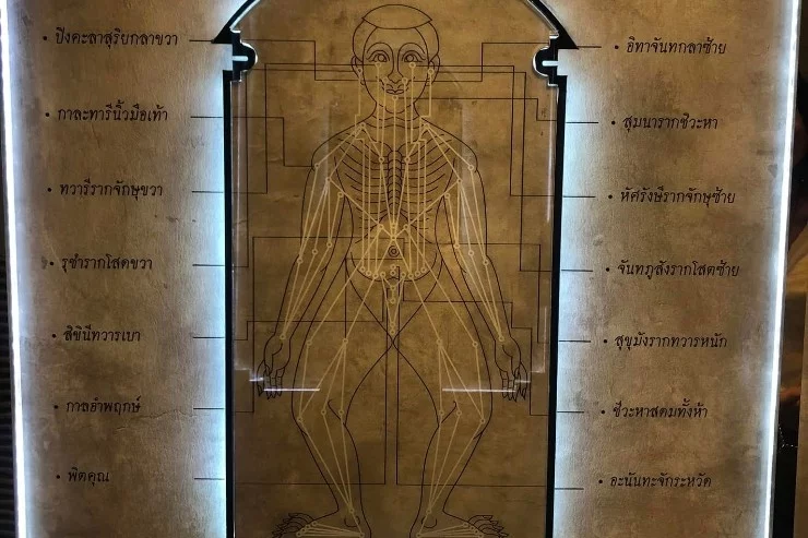 Baan Thaï Orchid à Saint-Sulpice-la-Pointe