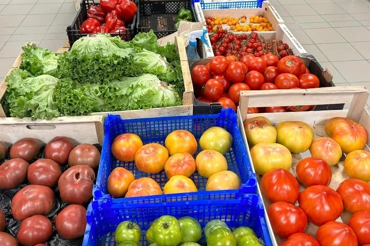 Oh Saveurs Gourmandes à Lavaur