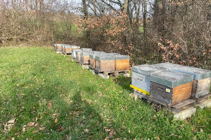 Les Ruchers de Miremont à Miremont