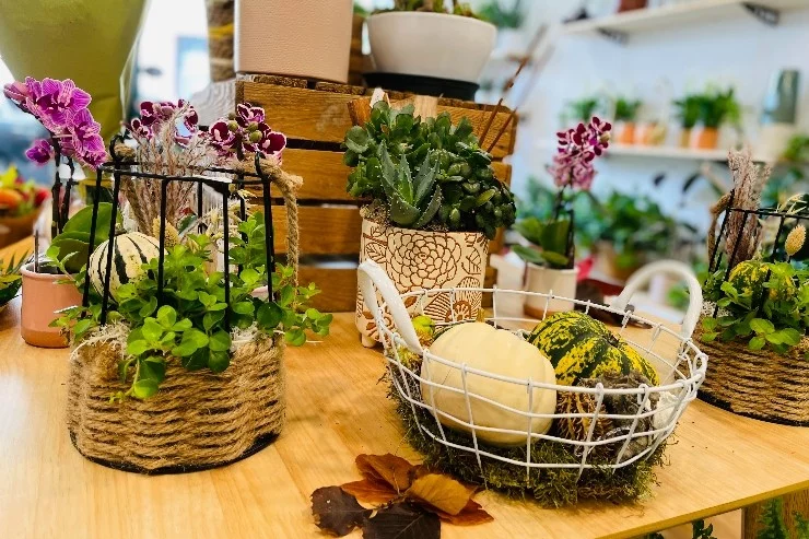 L'Atelier Botanic à Saverdun