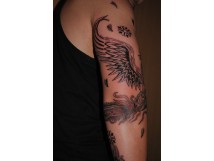Le Ph&eacute;nix tatou&eacute;