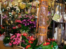 Non Communiqu&eacute;