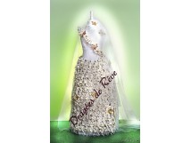 Robe a Drag&eacute;es