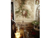 MARY OLIVIA CORK .LE COUP DE COEUR D