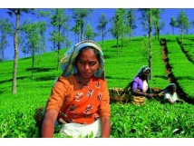 Voyage &eacute;thique et responsable SRI LANKA