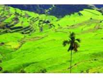 Voyage nature et &eacute;thique : Philippines