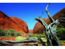 Voyage nature et &eacute;thique : Australie 