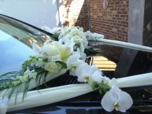 D&eacute;coration voiture
