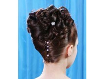 Coiffure de soir&eacute;e